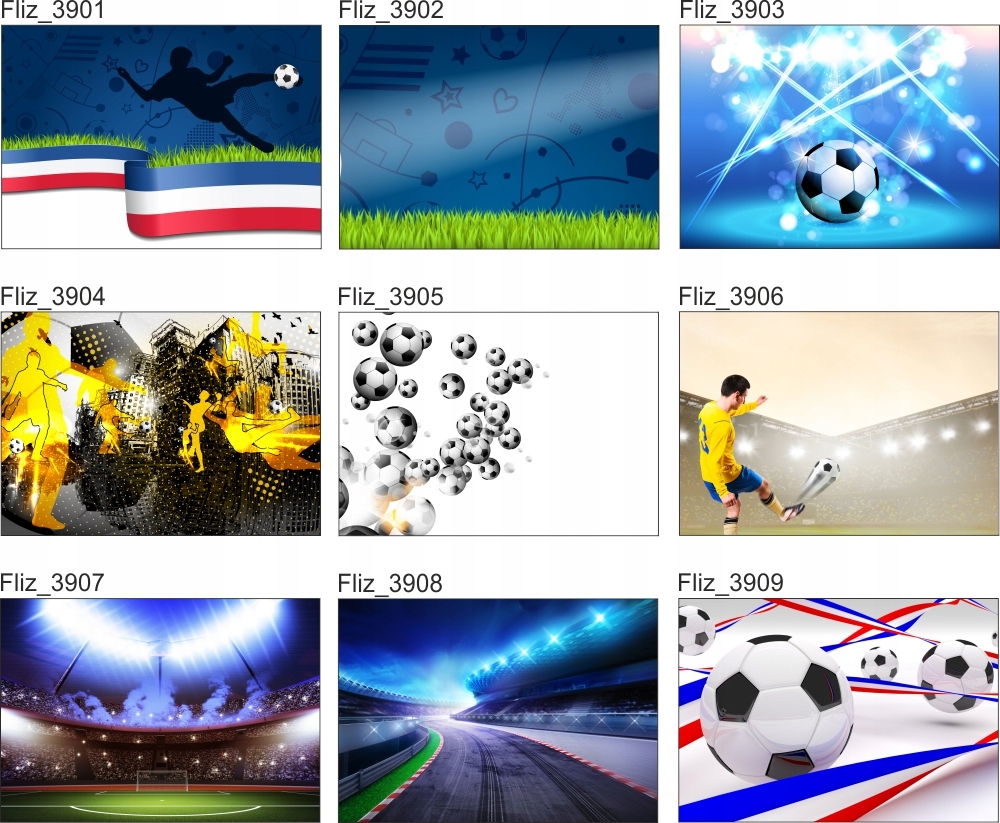 FOTOTAPETA NA WYMIAR PIŁKARSKA BRAMKARZ GOL