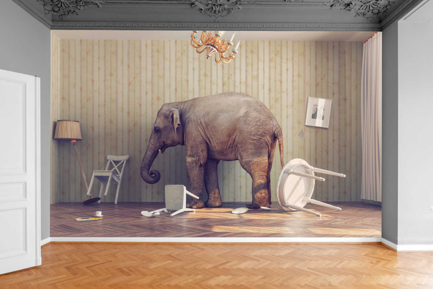 Fototapeta ELEGANCKI SŁOŃ W POKOJU 200x130