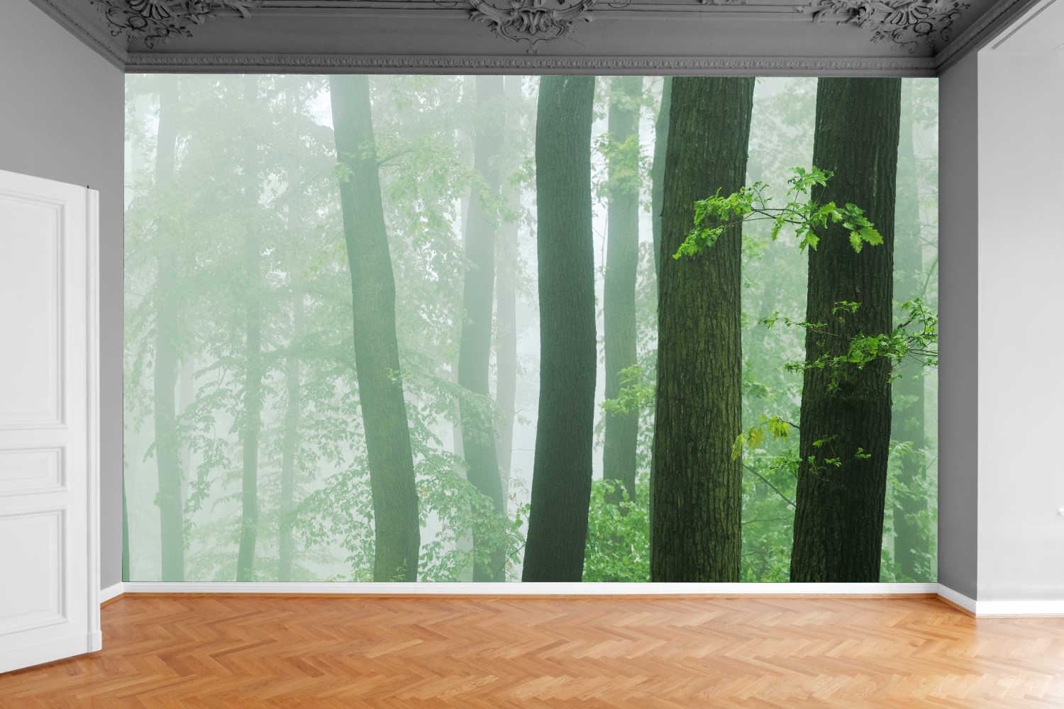 Fototapeta STYLOWE DRZEWA LAS KRAJOBRAZ 200x130