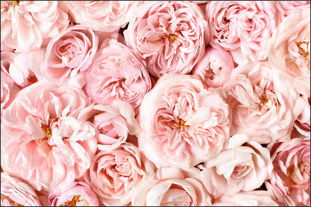 Tło FLAT LAY do fotografii produktowej kulinarnej