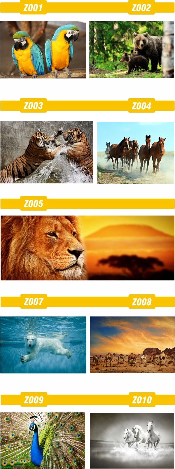 FOTOTAPETA zwierzęta brodzące FLAMINGI animacja