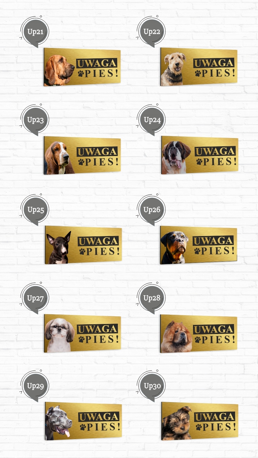 Tabliczka UWAGA ZŁY PIES AMERICAN BULLY złota