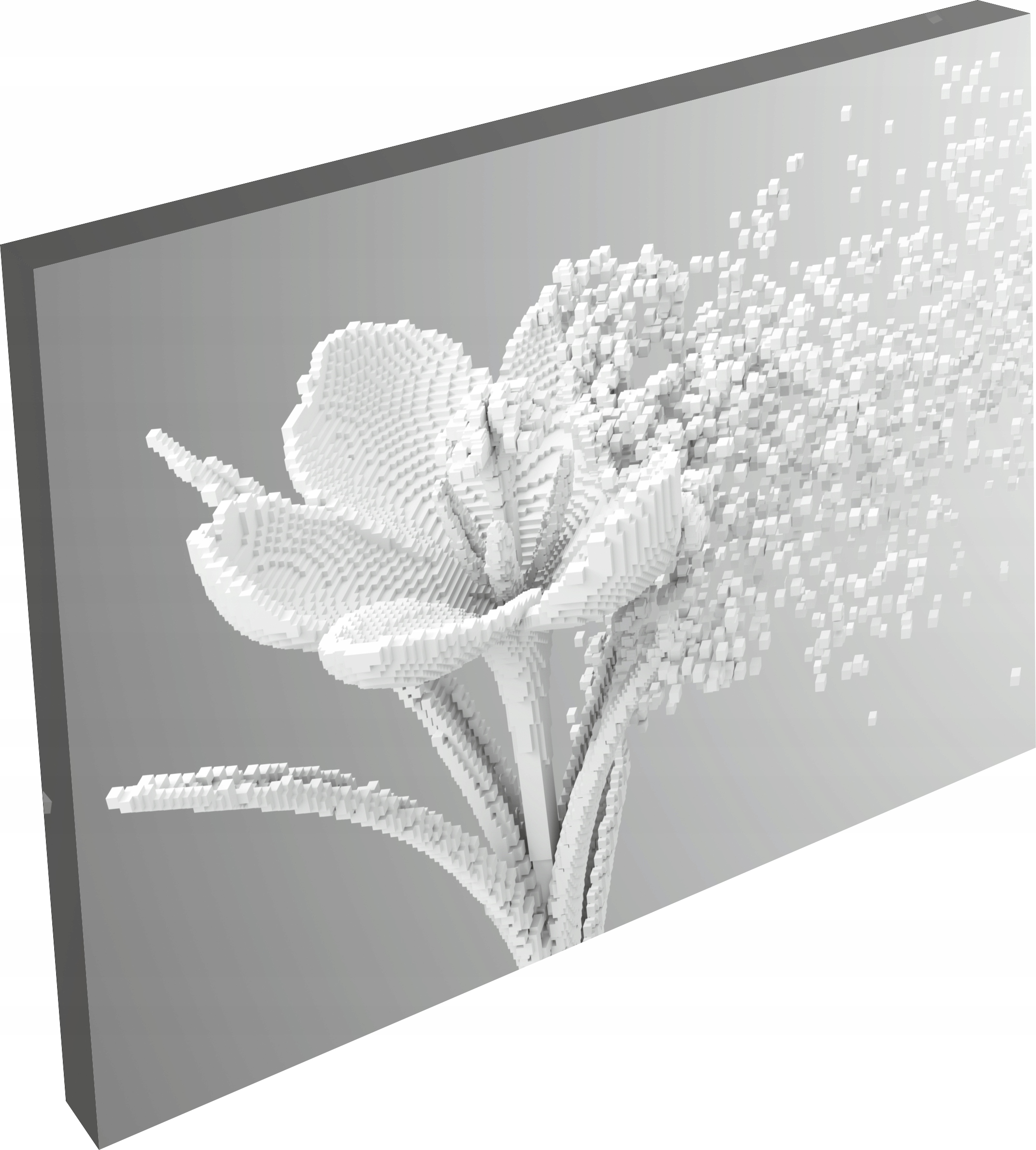 OBRAZ na płótnie dmuchawiec KWIATY do salon 120x80