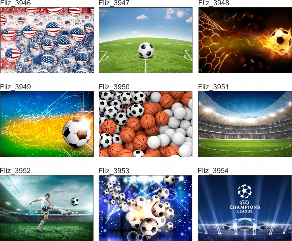 FOTOTAPETA PIŁKARSKA BRAMKARZ GOL 395x280