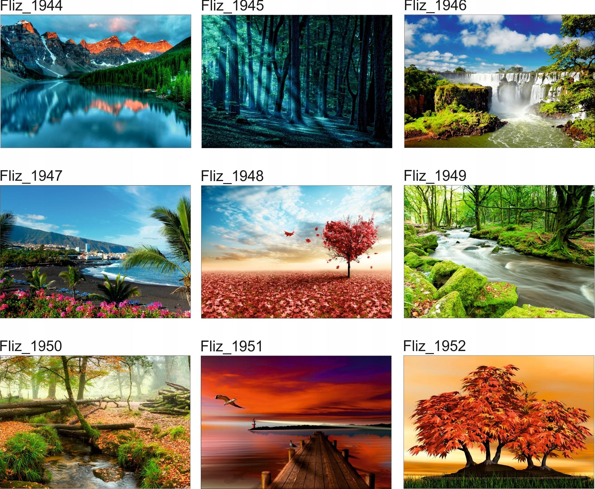 FOTOTAPETA KRAJOBRAZ ZIELONA POLANA DRZEWA WIOSNA