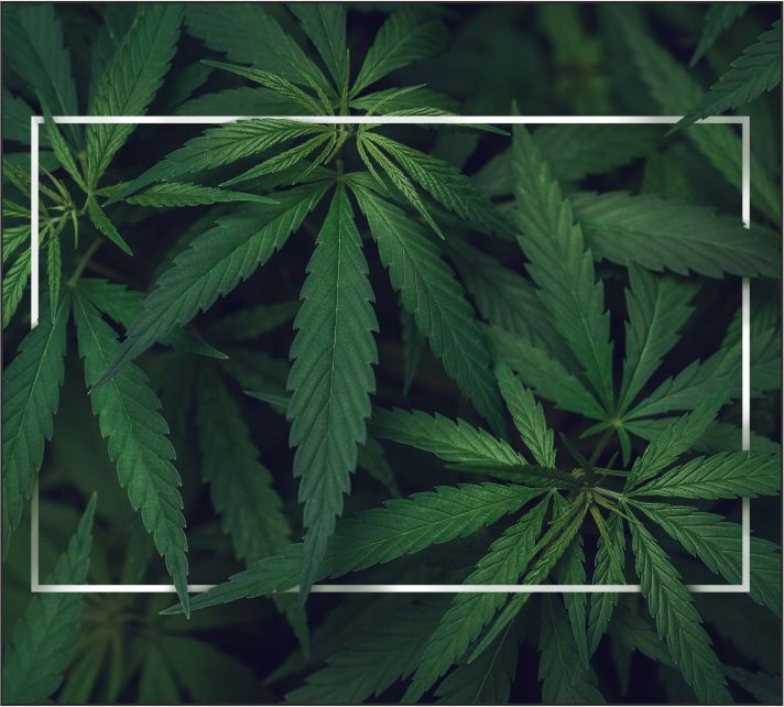 Tło do fotografii produktowej kulinarnej Flat Lay