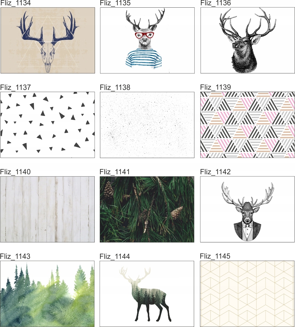 OBRAZ do pokoju salonu sypialni zwierzęta 120x80