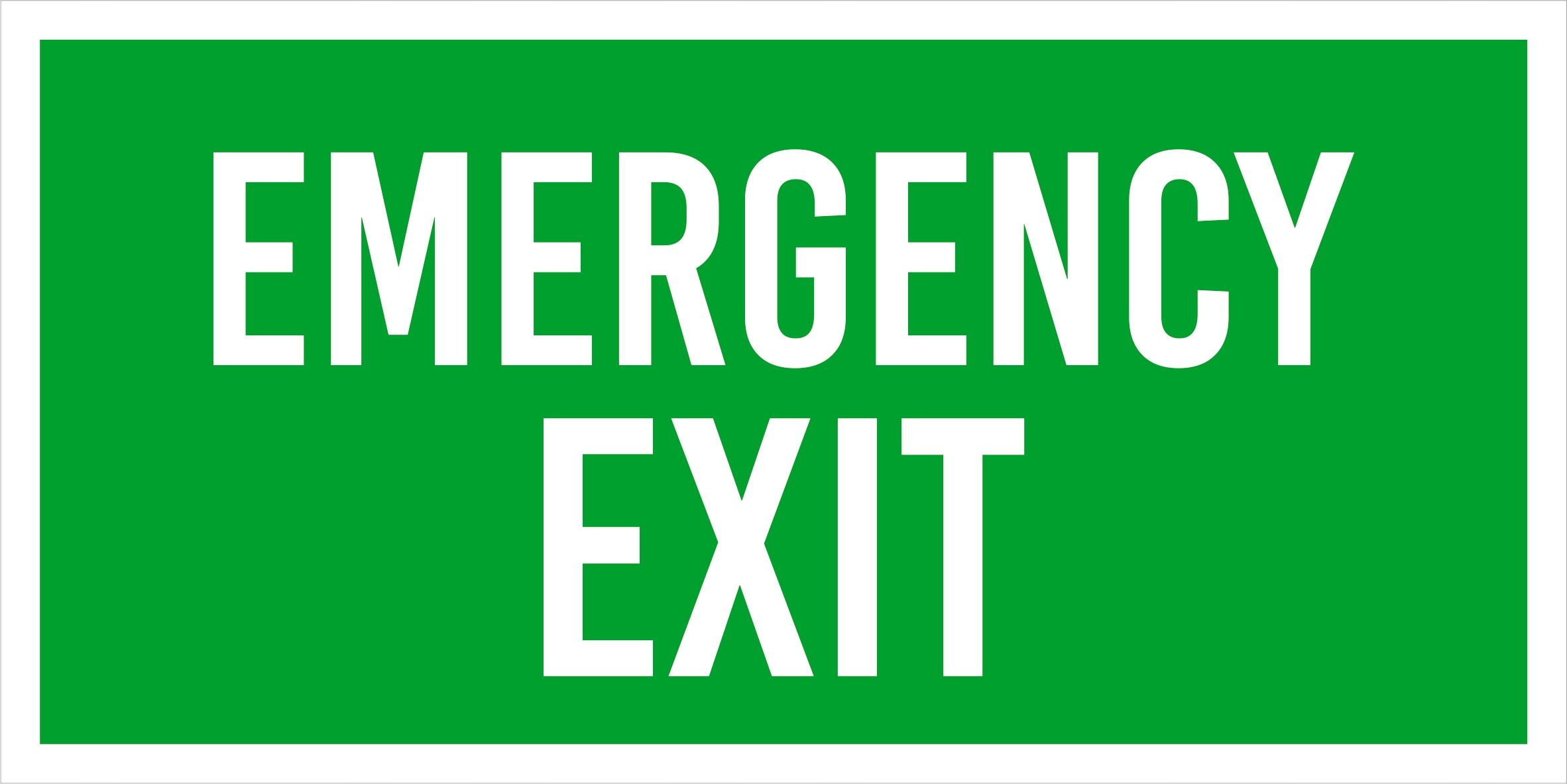 Tabliczka Grawerowana zielona 20x10 znak BHP na drzwi EMERGENCY EXIT