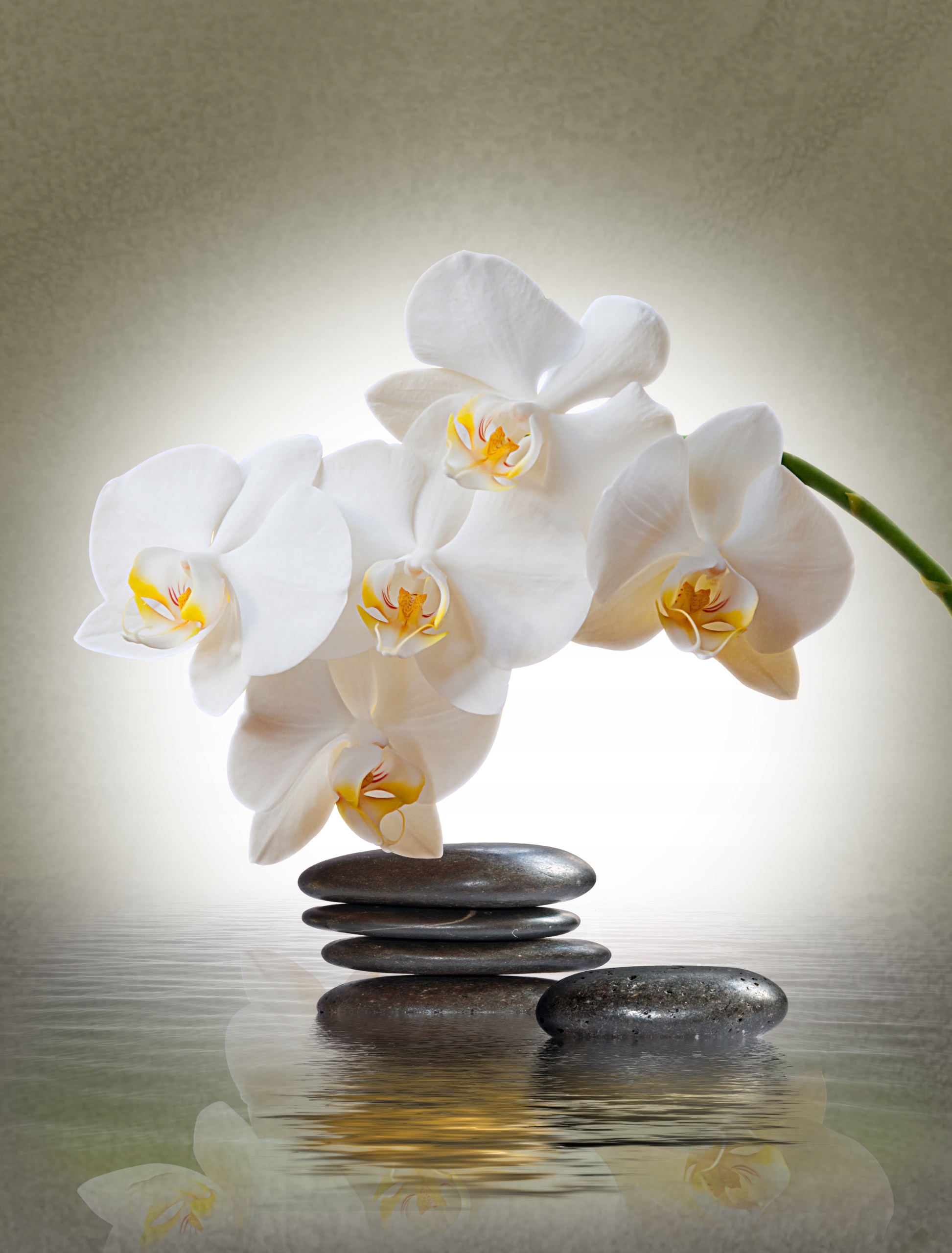 FOTOTAPETA STORCZYK KAMIENIE PIĘKNE SALON