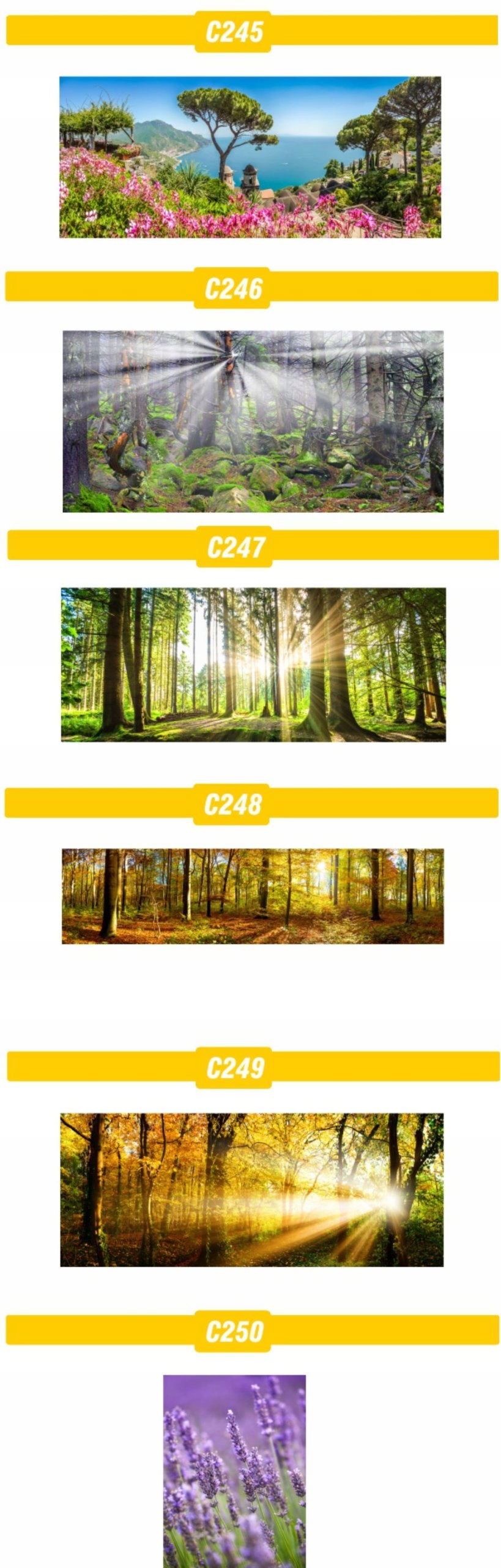 PLAKAT natura przyroda widoki lasy MORZE tanie!