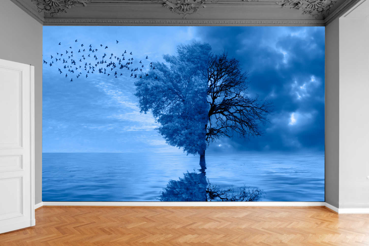 Fototapeta DRZEWO KONAR WIDOK NA MORZEM WODĄ NIEBO