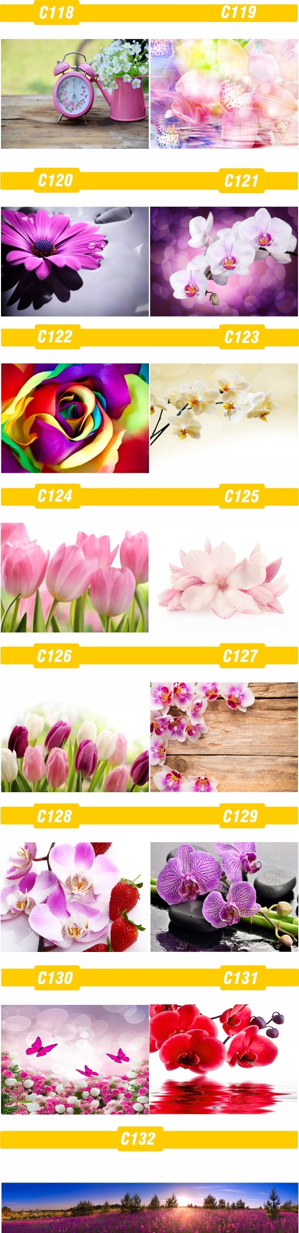 FOTOTAPETA rosliny KWIATY róże DUŻY WYBÓR WZORÓW