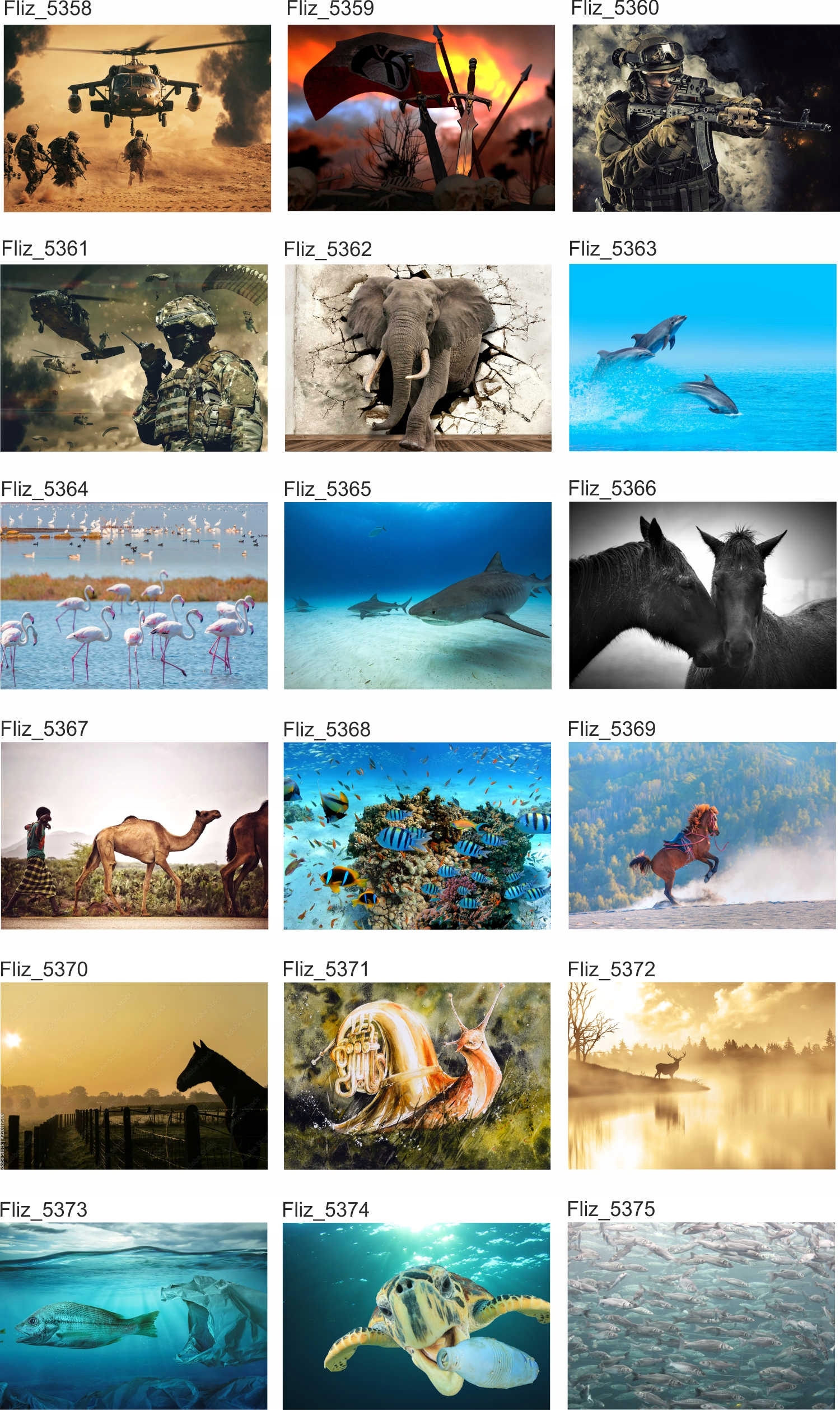 Fototapeta CHMURKI ŻYRAFA ŻÓŁW 130x80