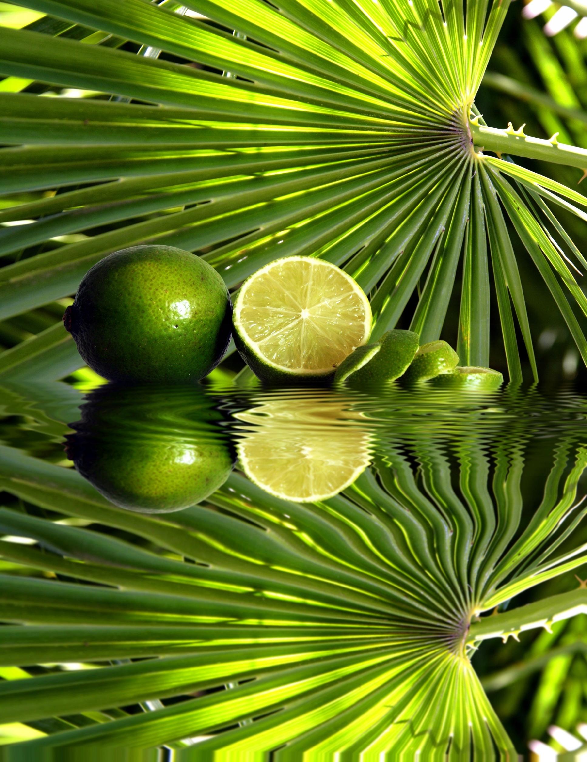 FOTOTAPETA kuchenna ZIELONE LIŚCIE ODBICIE LIMONKI