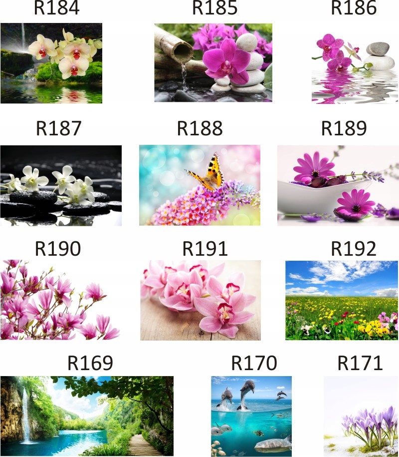 FOTOTAPETA rosliny KWIATY róże DUŻY WYBÓR WZORÓW