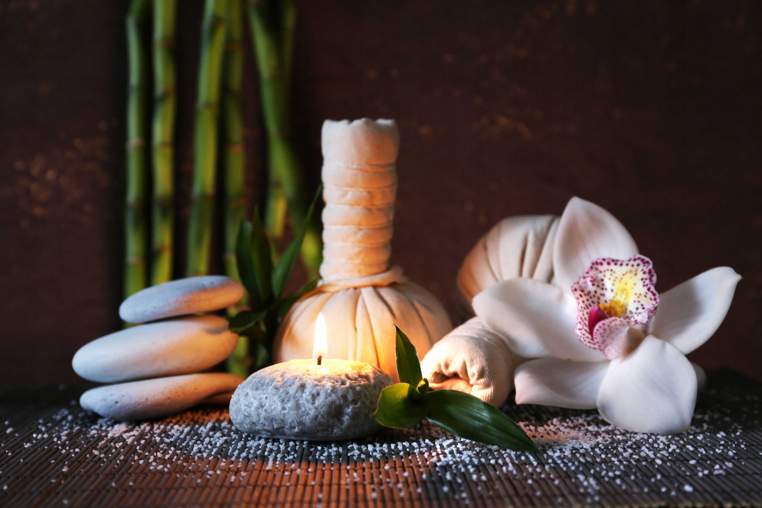 FOTOTAPETA DO SPA ŁODYGA BAMBUSA STORCZYK KAMIENIE