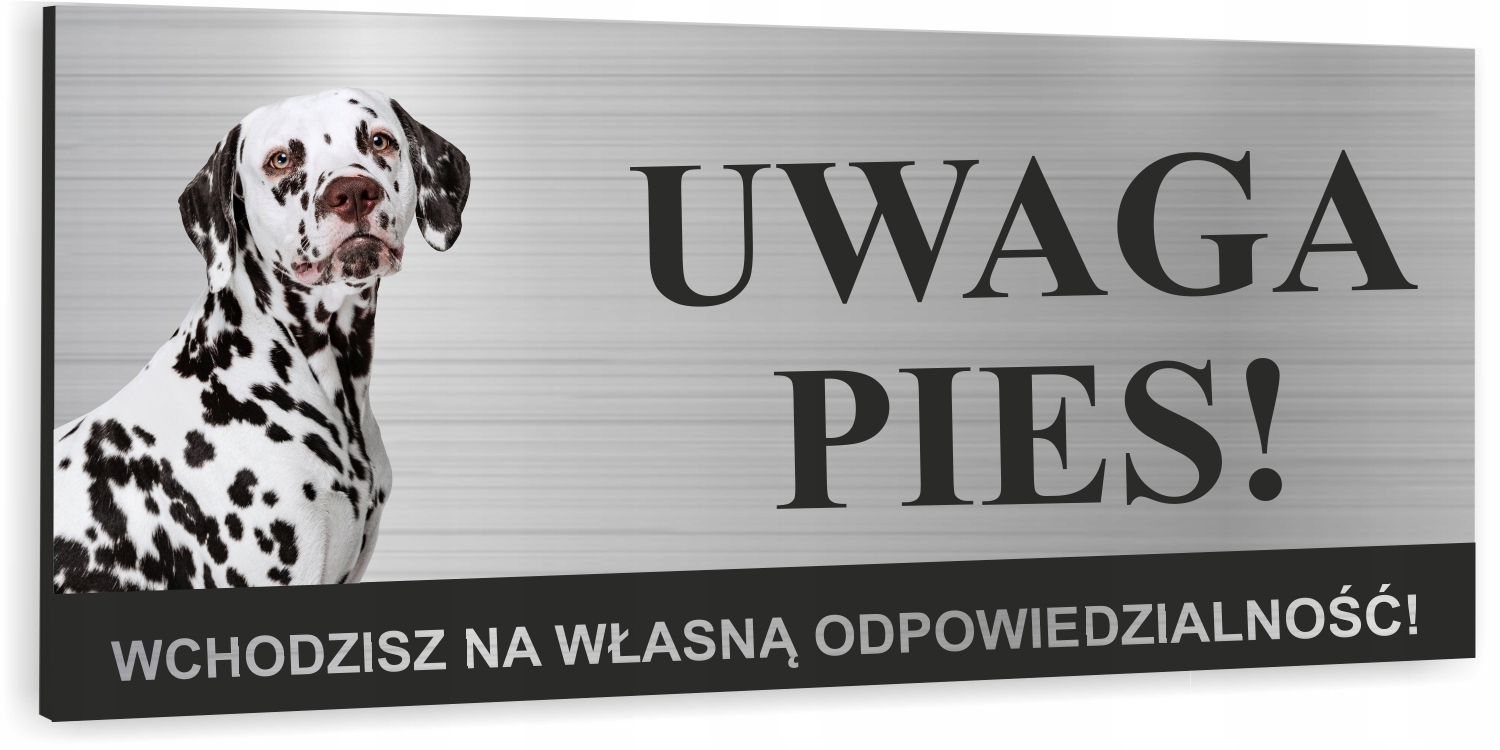 Tabliczka UWAGA ZŁY PIES - DALMATYŃCZYK dibond