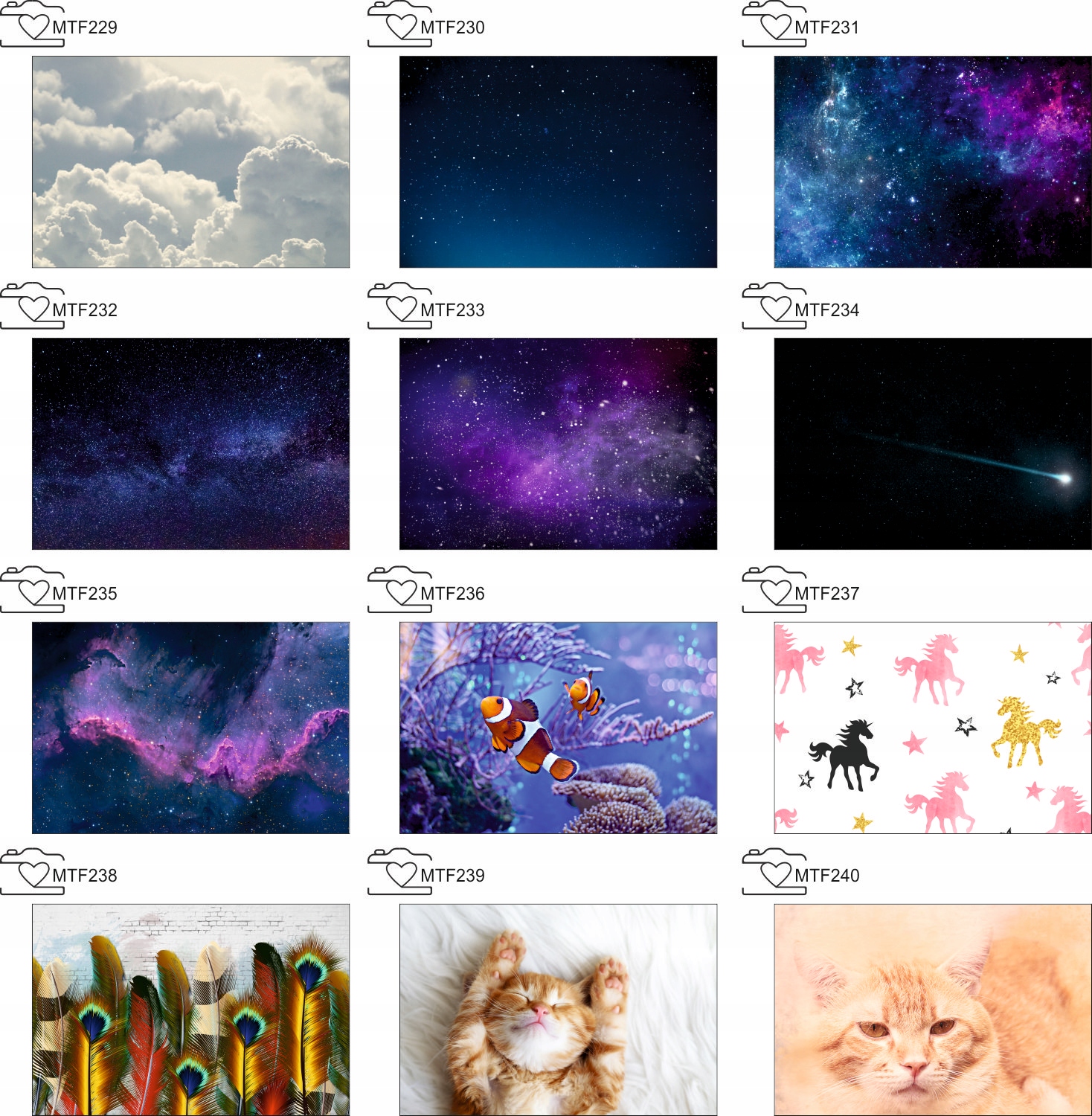 Tło fotograficzne Produktowe FLAT LAT Kulinarne