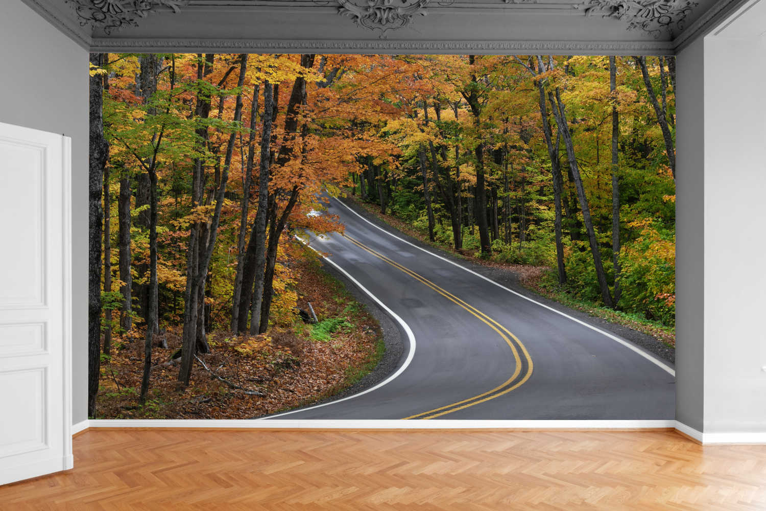 Fototapeta DRZEWA DROGA PRZEZ LAS JESIENNY 200x130