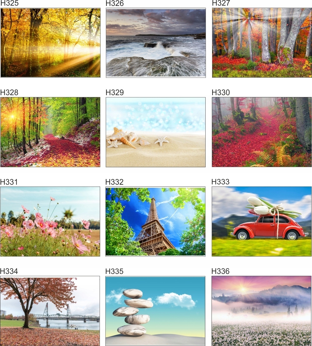 Fototapeta 3D WIDOK most w górach 260x200 FLI