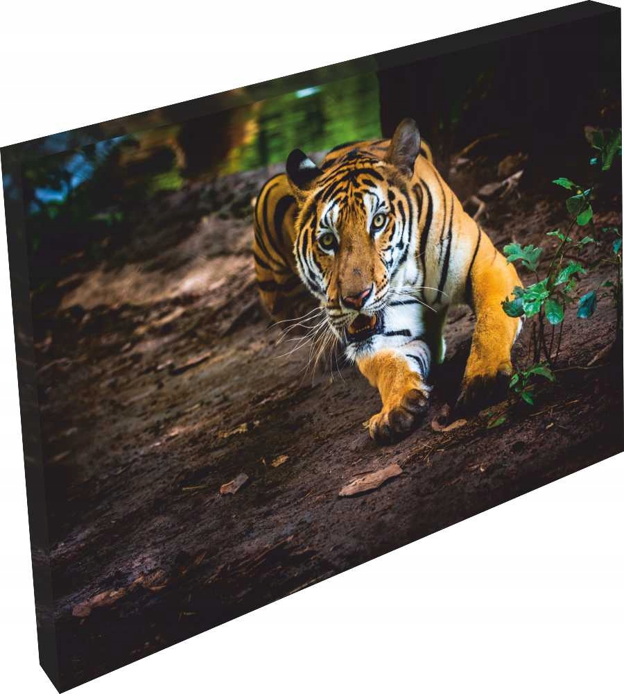 OBRAZ na płótnie tygrys gepard jaguar salon 120x80