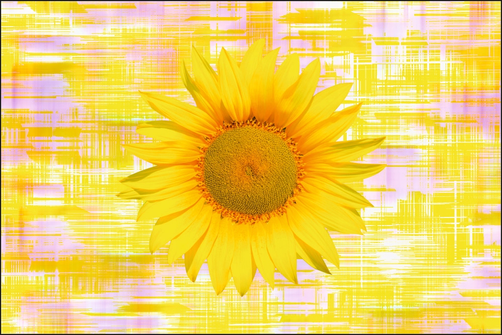 Tło fotograficzne Produktowe FLAT LAT Kulinarne