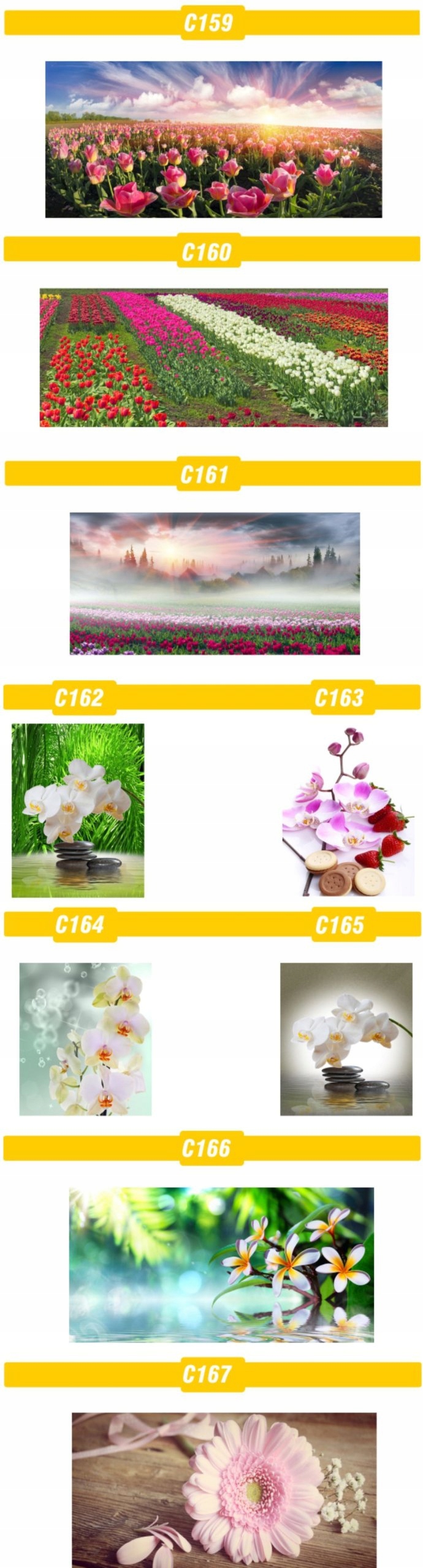 FOTOTAPETA rosliny KWIATY róże DUŻY WYBÓR WZORÓW