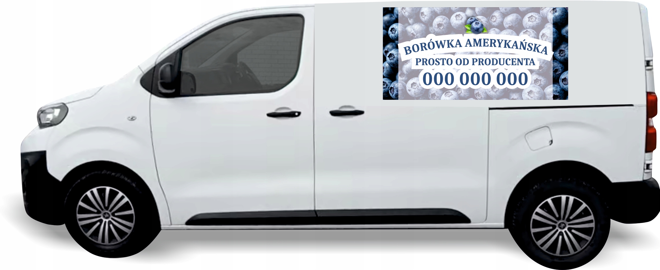 Reklama Naklejka na samochód 0,5 m2 BORÓWKI AMERYKAŃSKIE OD PRODUCENTA