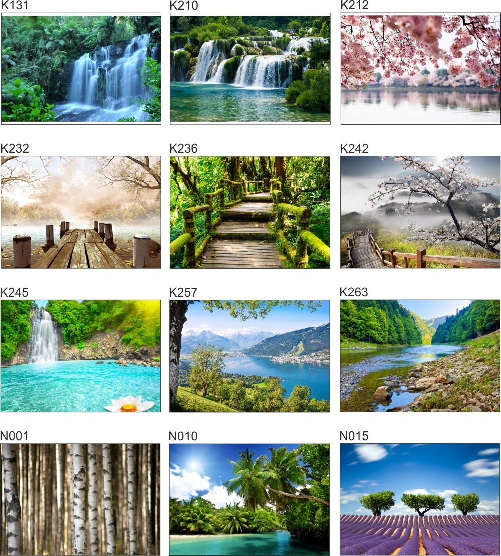 Fototapeta 3D widok kwiaty góry we mgle 200x130 FL