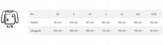 BLUZA męska z okrągłym dekoltem TWÓJ HAFT LOGO GRAFIKA reklamowa 5 sztuk