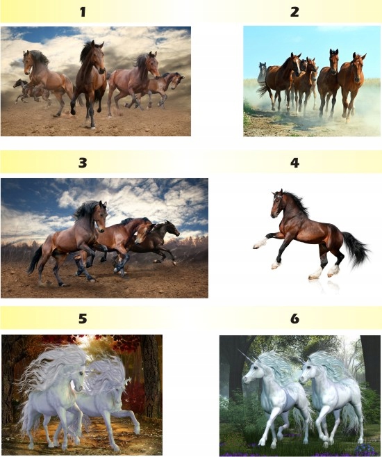 FOTOTAPETA zwierzęta brodzące FLAMINGI animacja