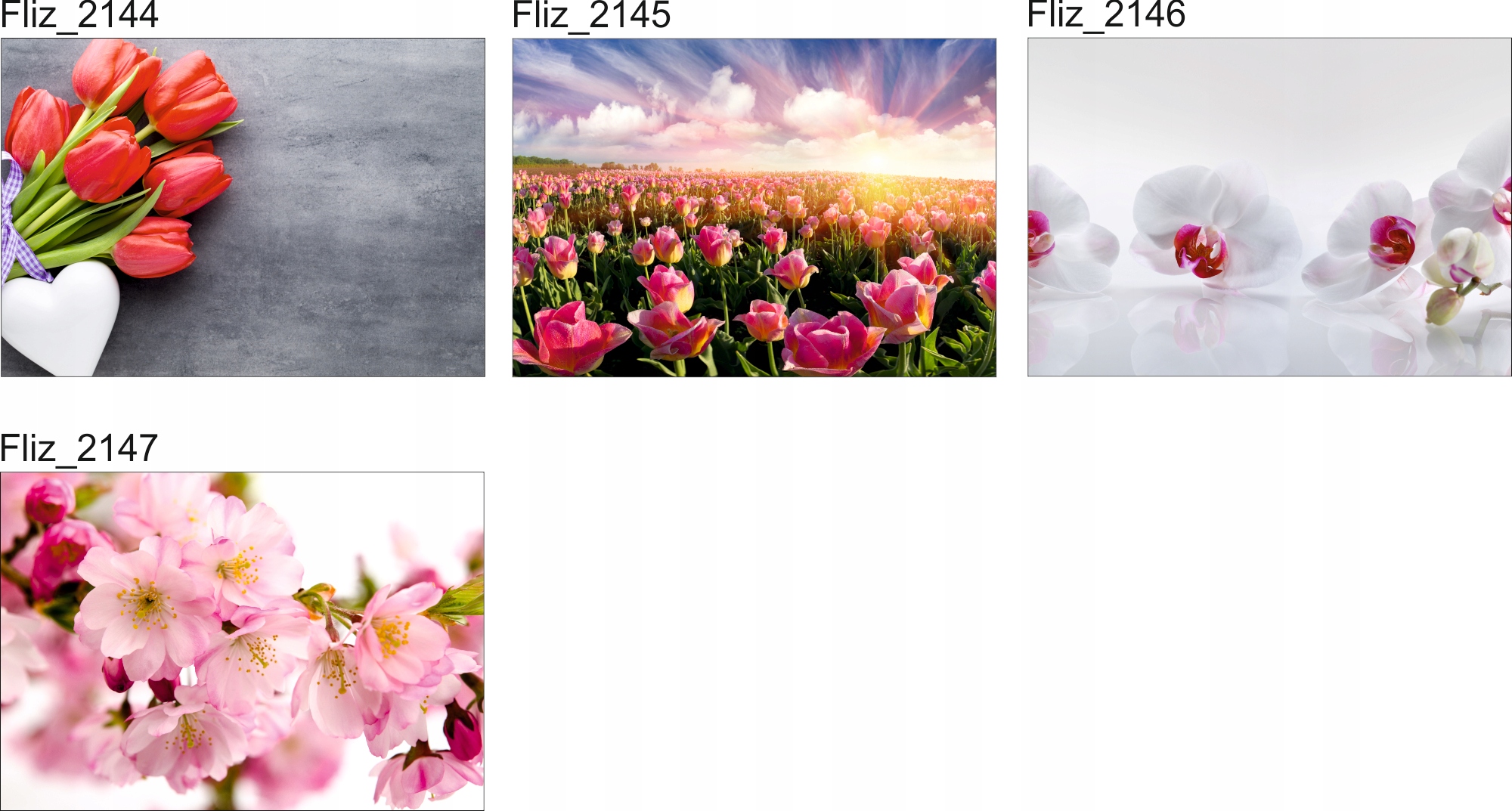 FOTOTAPETA KWIATY POLANA ŁĄKA 3D