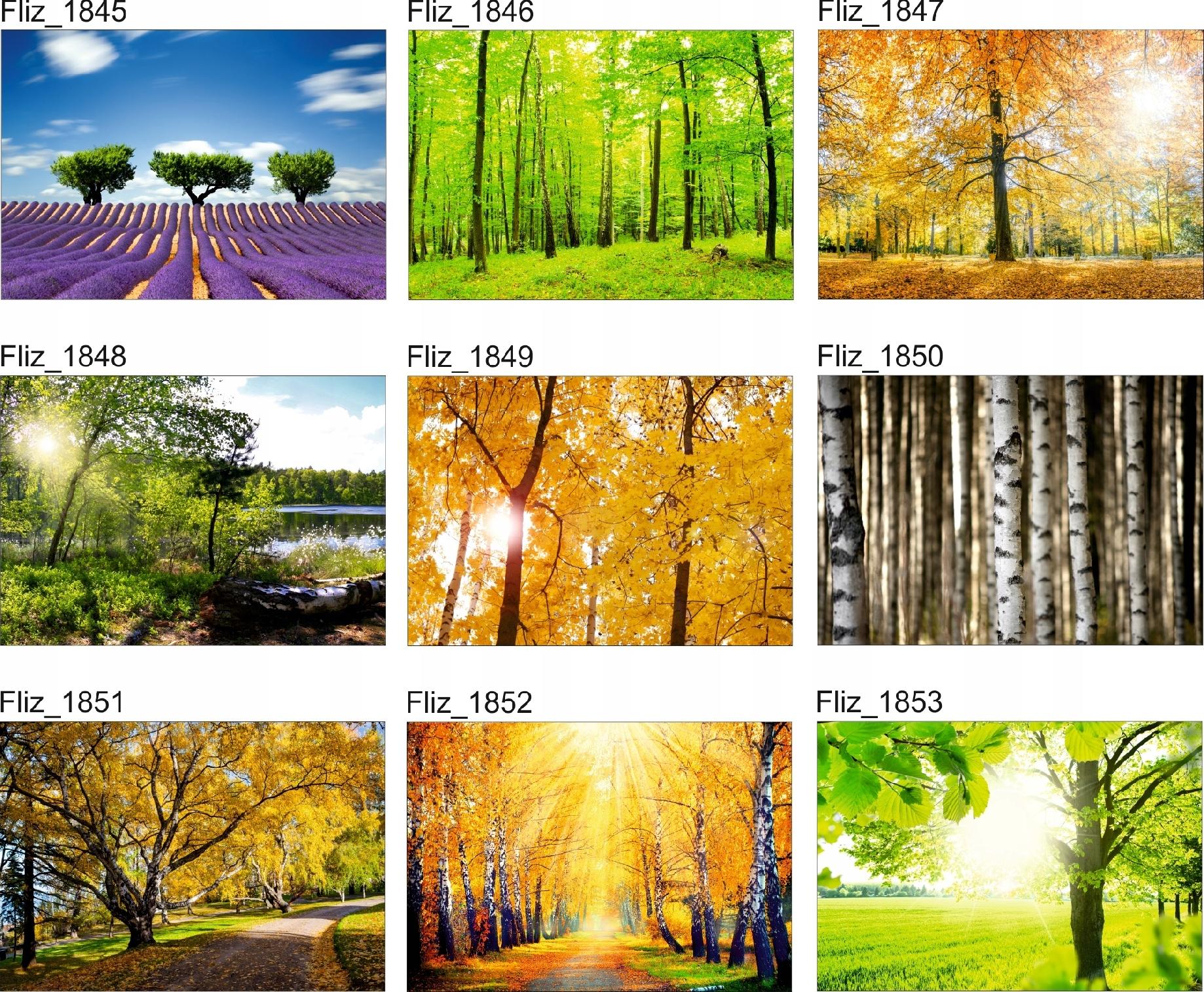 FOTOTAPETA KRAJOBRAZ DREWNIANE SCHODKI MOSTEK