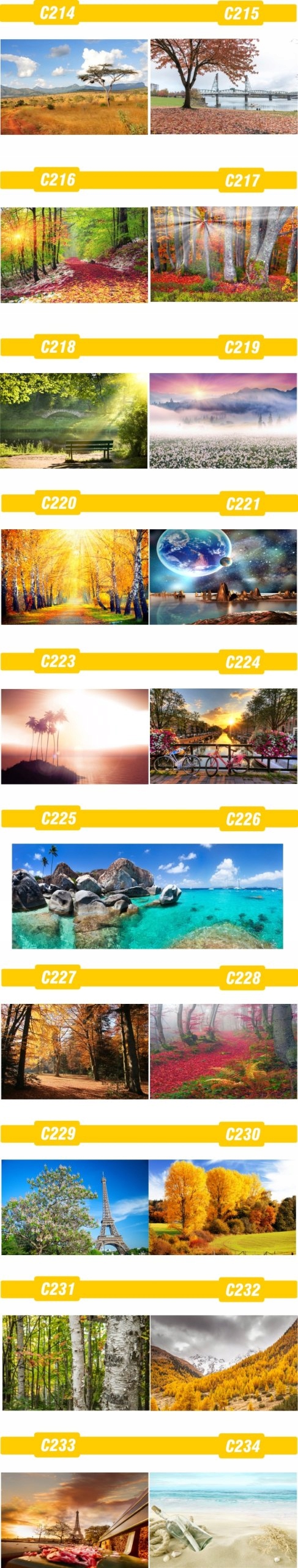 PLAKAT natura przyroda widoki lasy MORZE tanie!