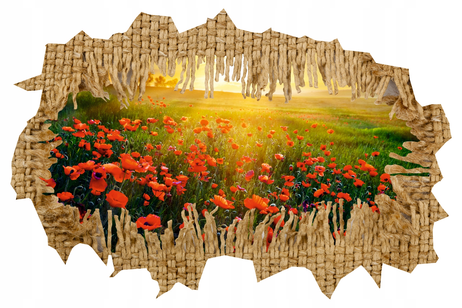 Naklejka samoprzylepna 3D dziura maki łąka polne