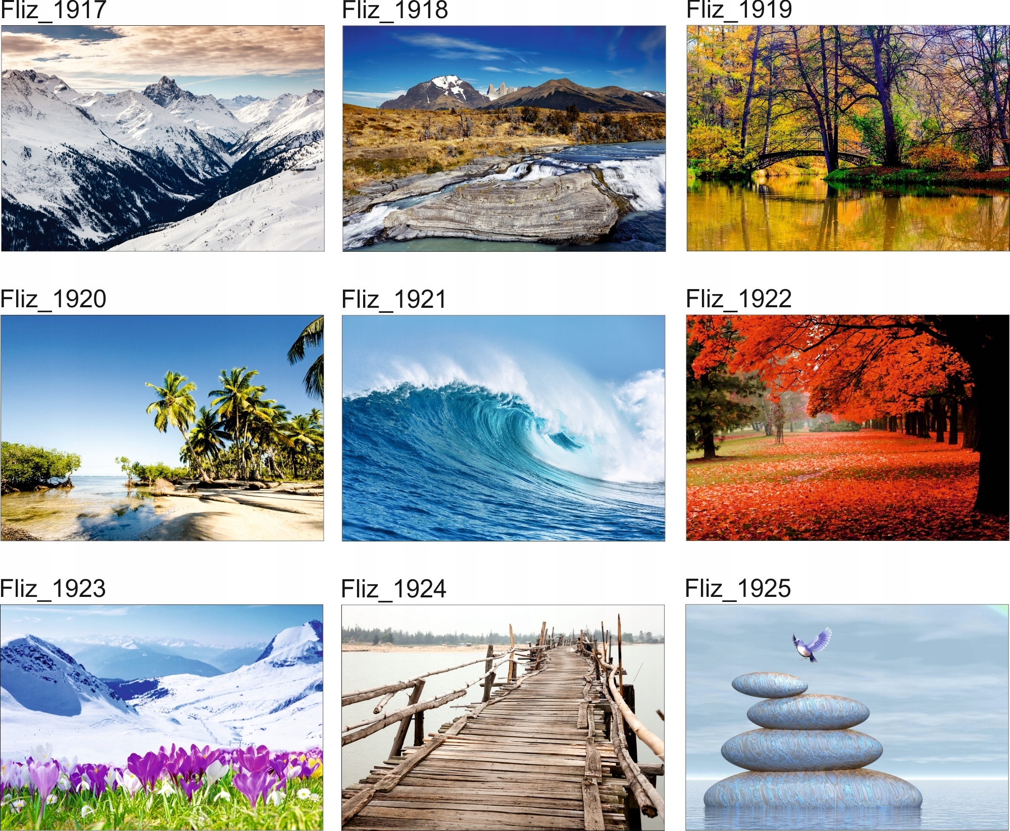 FOTOTAPETA KRAJOBRAZ STRUMYK JESIEŃ DRZEWA