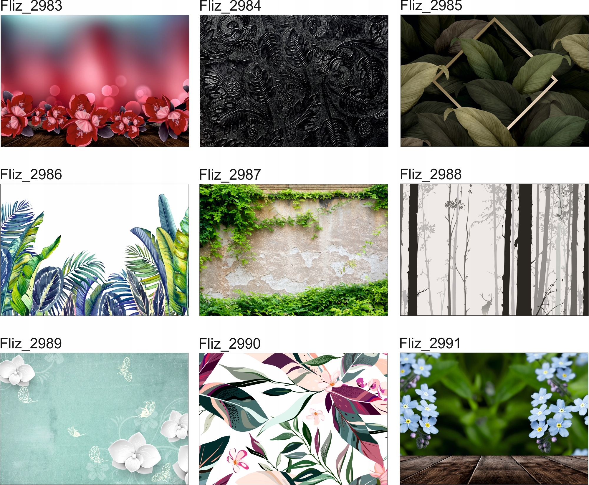 FOTOTAPETY Las we Mgle Drzewa Widok paprotki