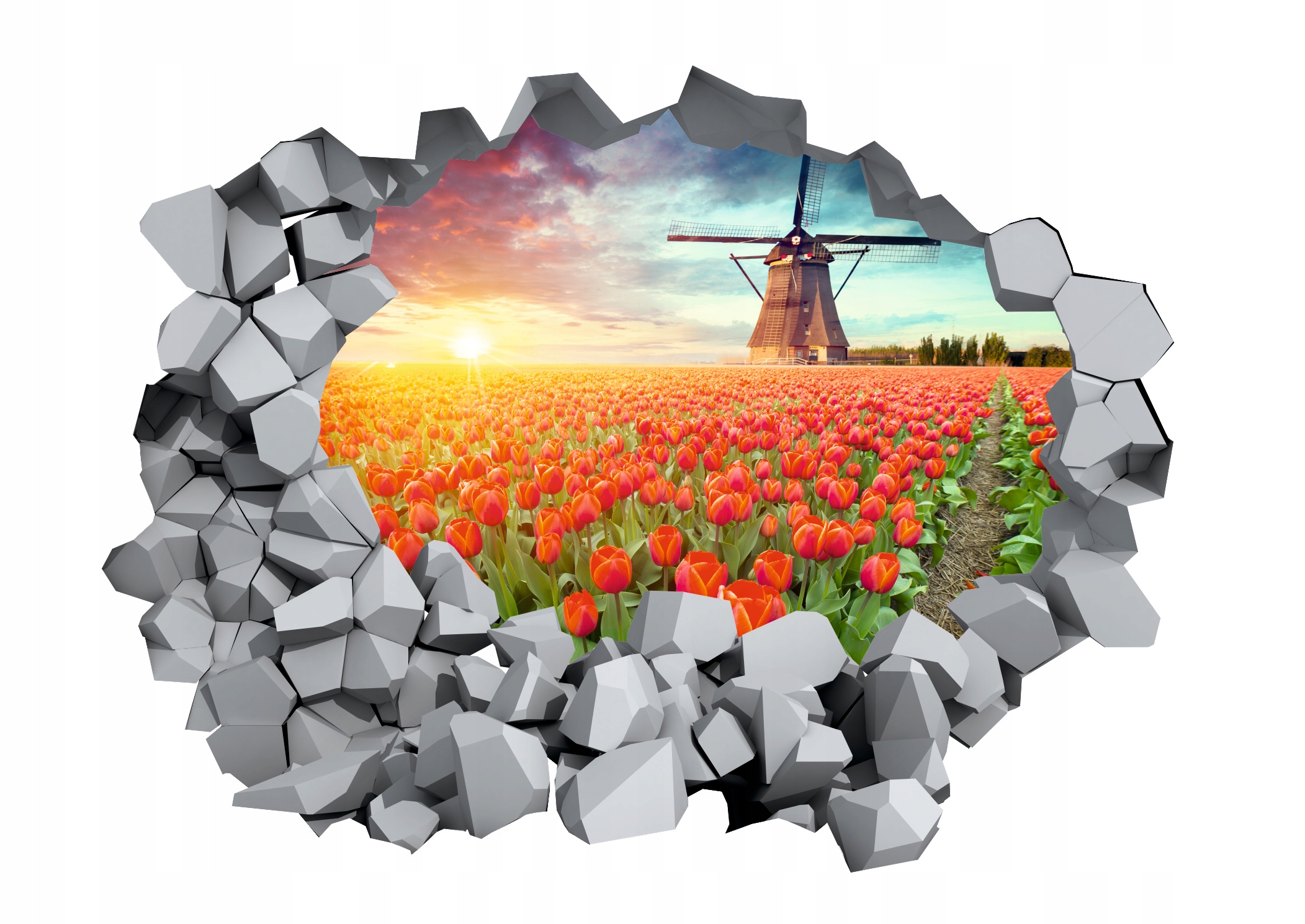 Naklejka samoprzylepna 3D efekt wschód słońca łąka