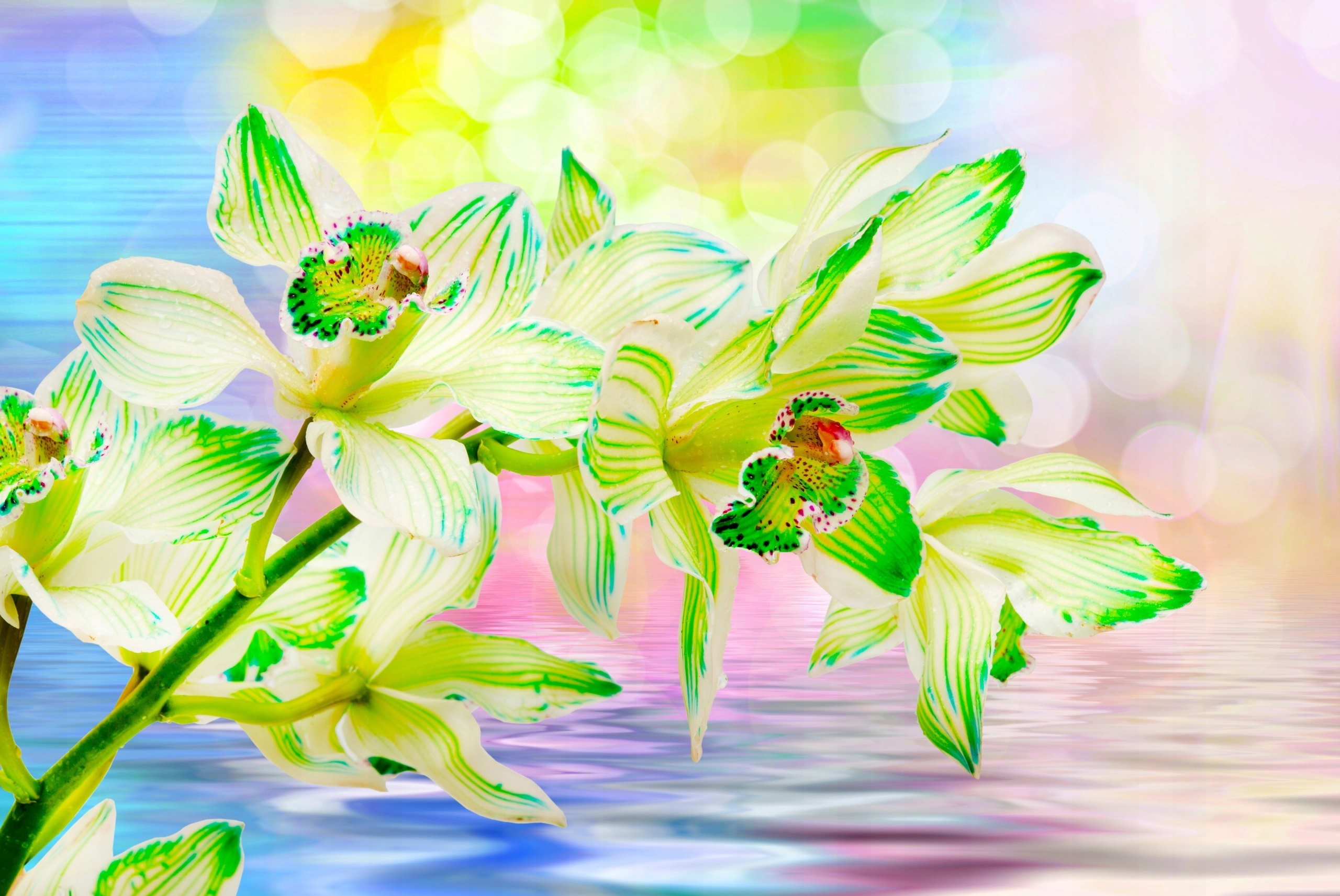 FOTOTAPETA STORCZYK MALOWIDŁA DEKORACJA 395x280