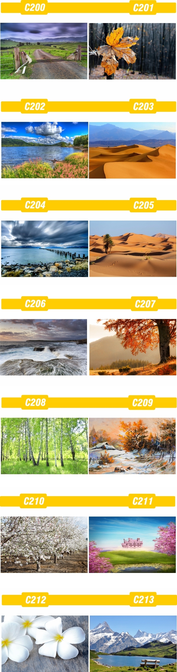 PLAKAT natura przyroda widoki lasy MORZE tanie!