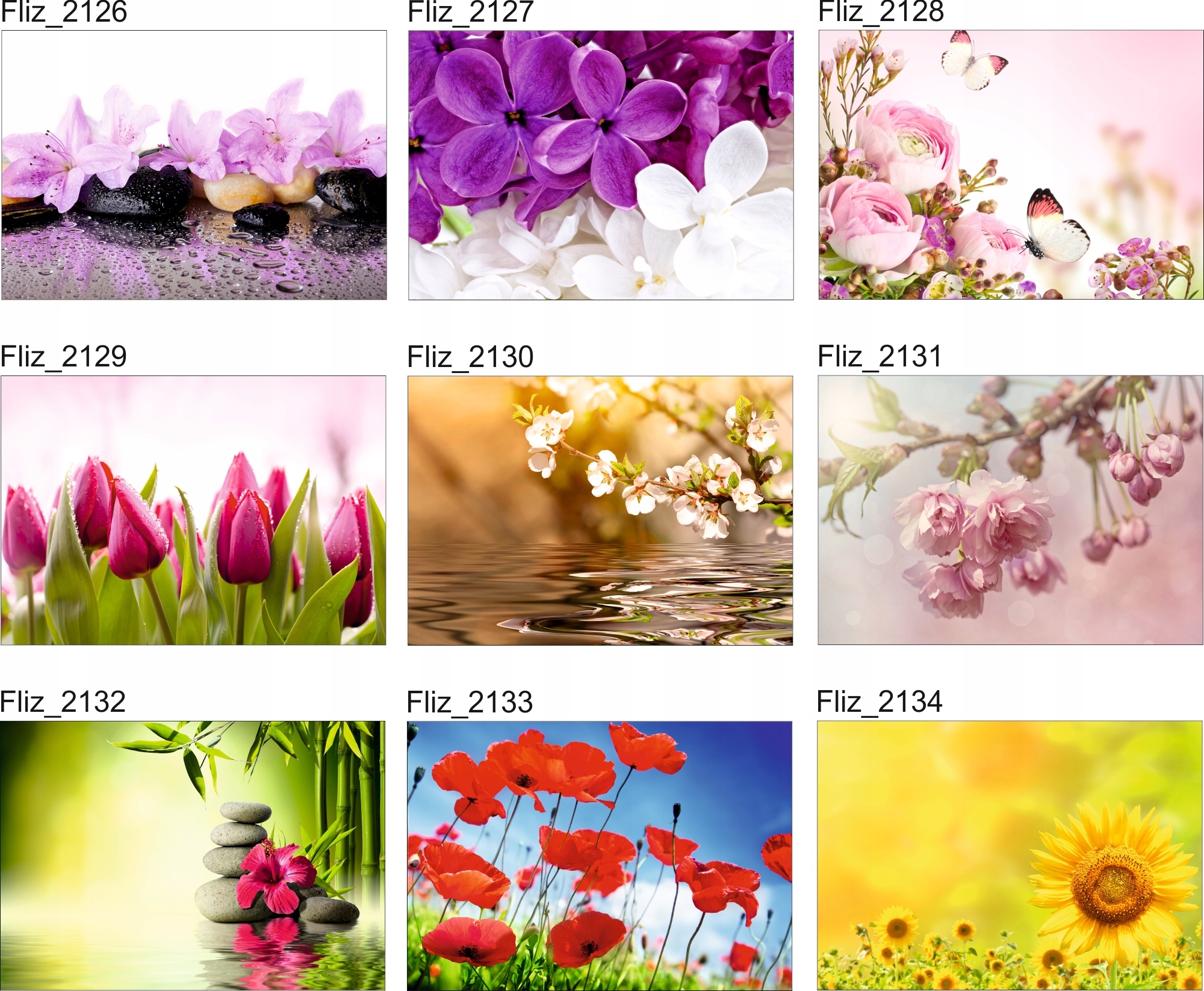 FOTOTAPETA KWIATY NATURA KAMIENIE CZERWONA RÓŻA