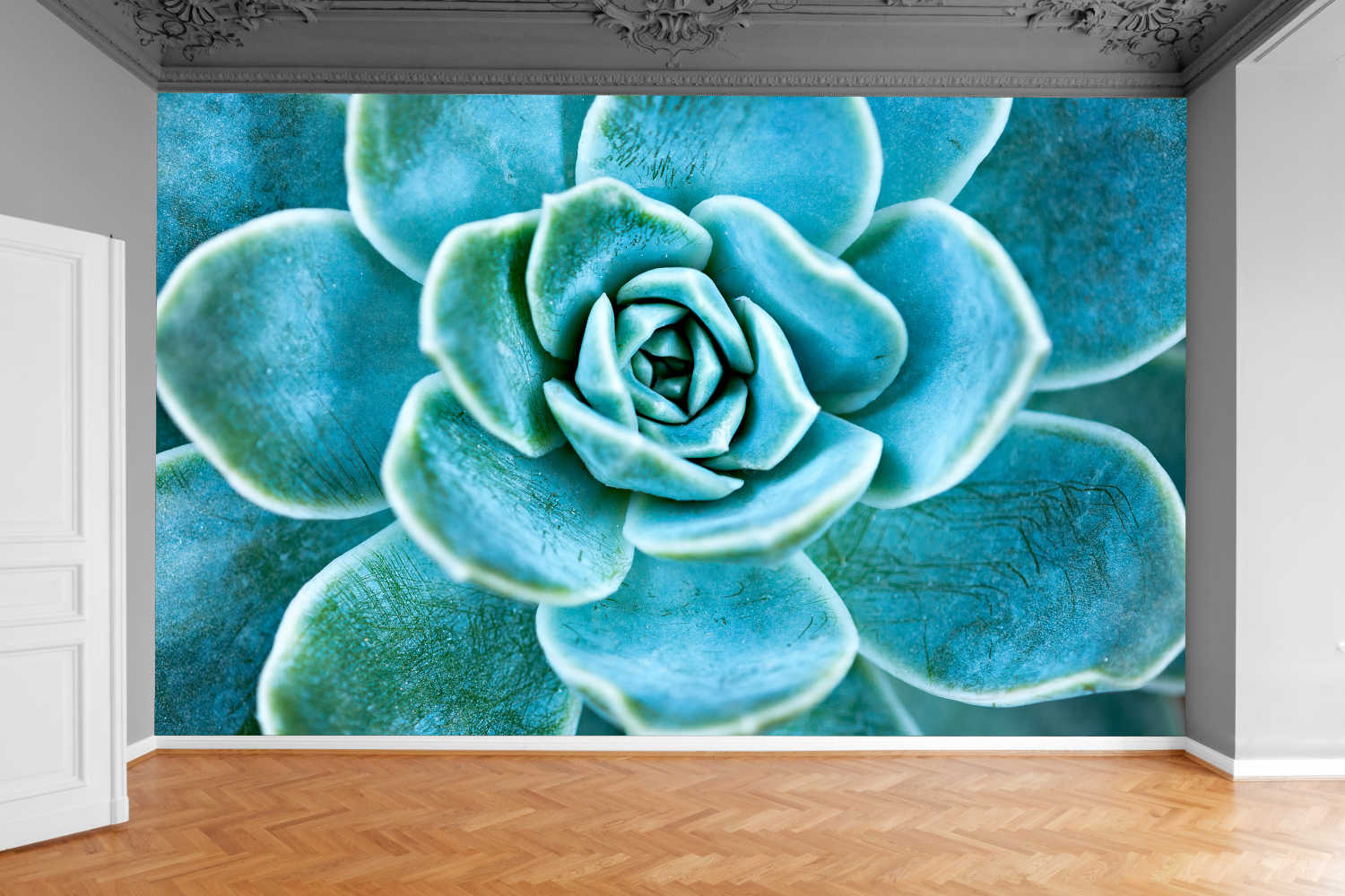 Fototapeta RUBINOWY NEONOWY KWIAT 200x130