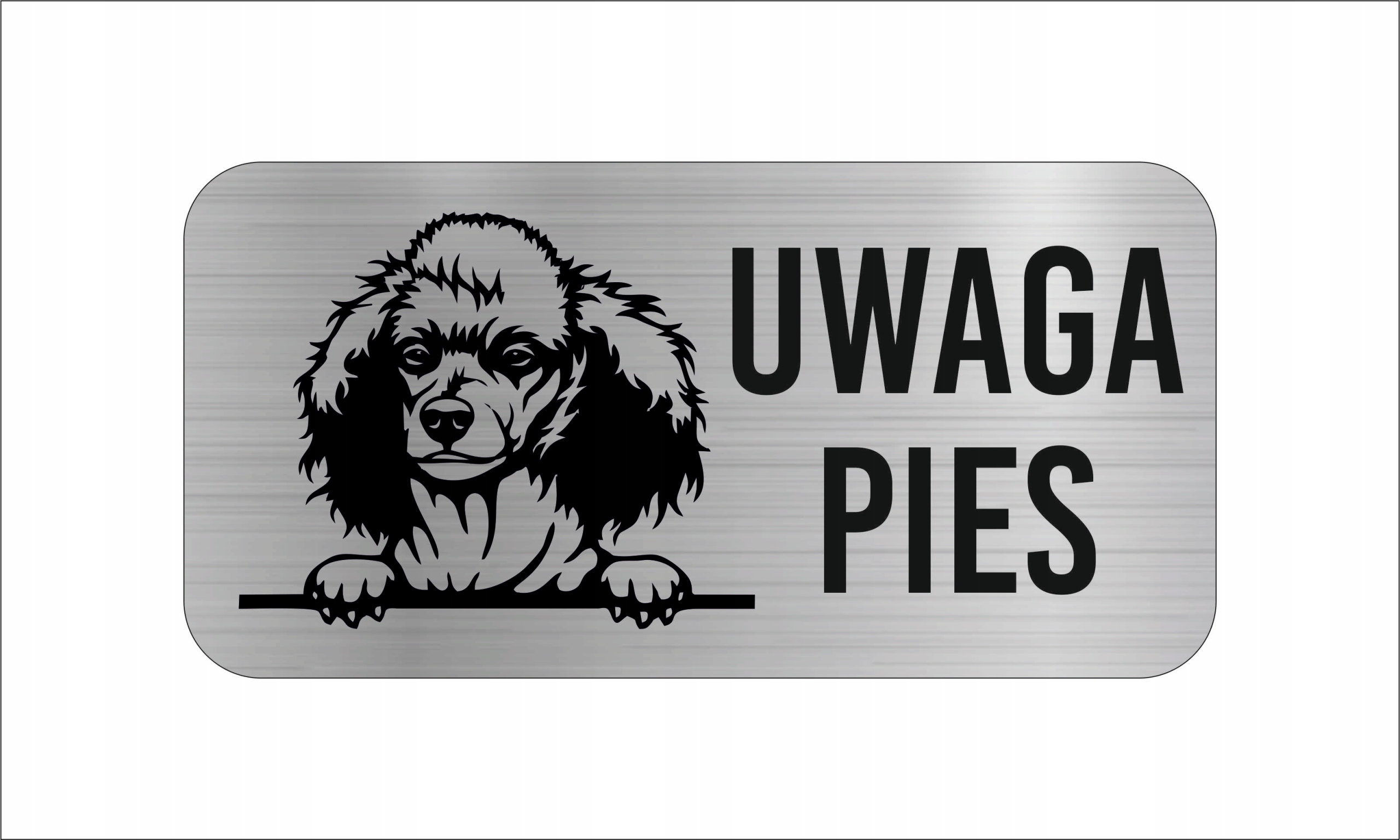 GRAWER Tabliczka nierdzewna laminat 20x10 cm UWAGA PIES PUDEL PUDELEK
