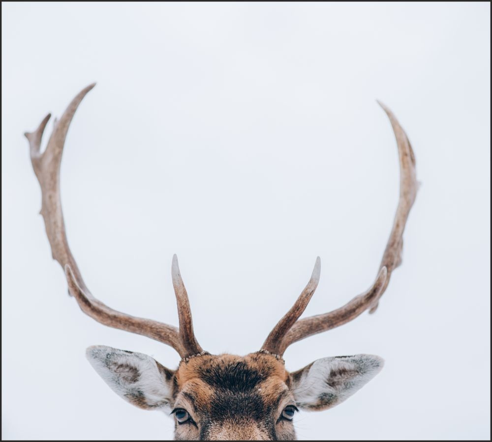 Tło do fotografii produktowej kulinarnej Flat Lay