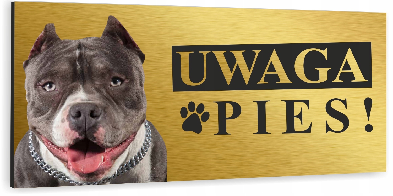 Tabliczka UWAGA ZŁY PIES AMERICAN BULLY złota
