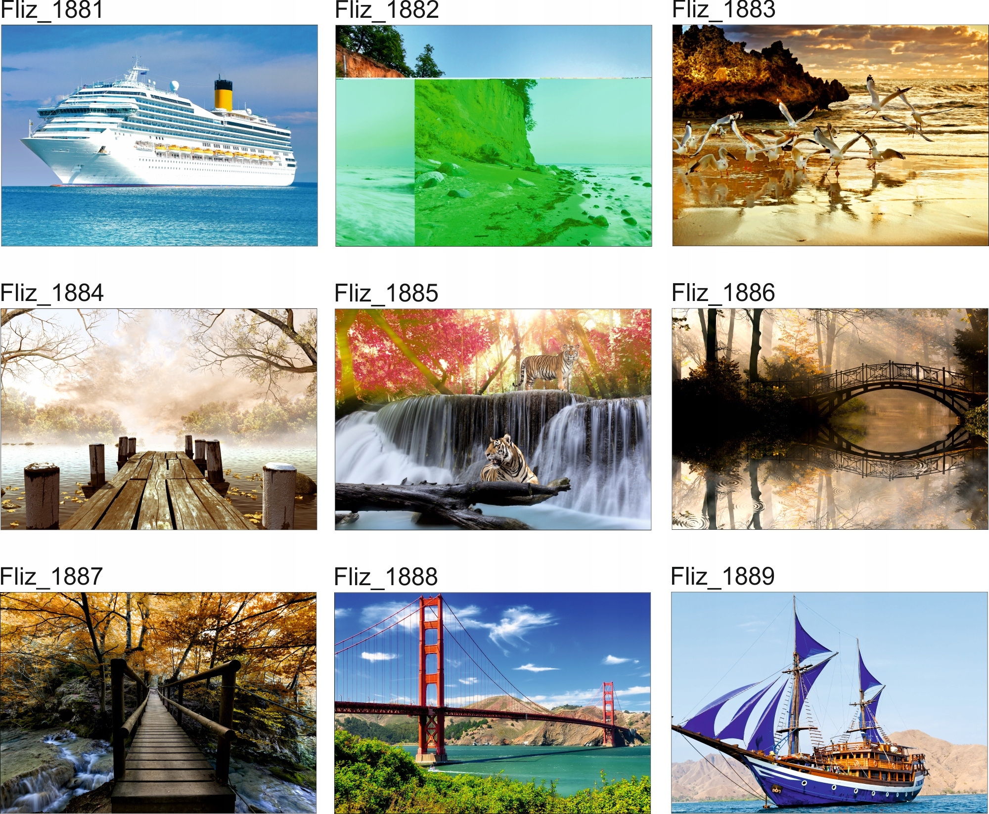 FOTOTAPETA KRAJOBRAZ KORONY DRZEW LAS SŁOŃCE