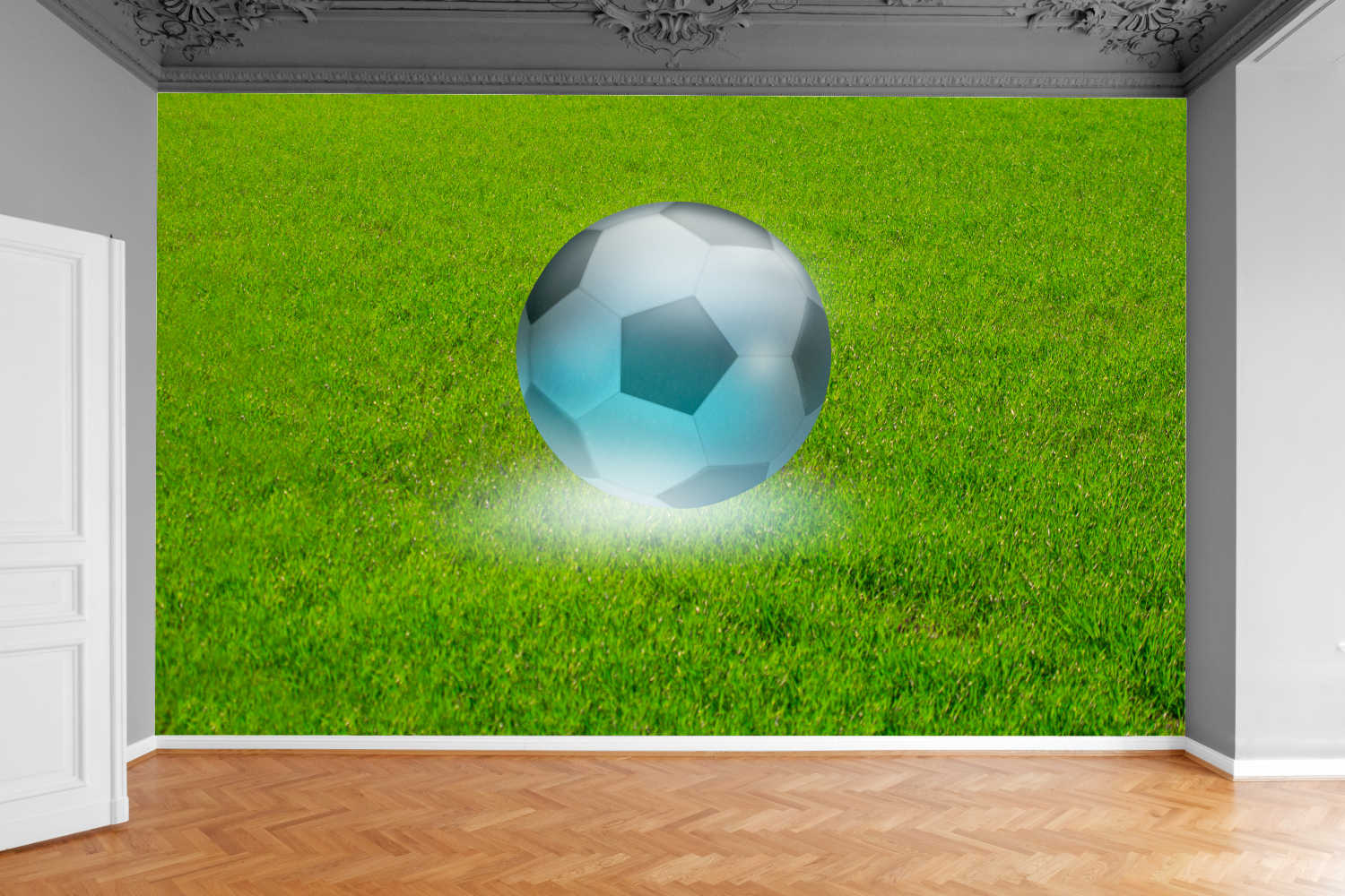 Fototapeta PIŁKA NA MURAWIE 130x80