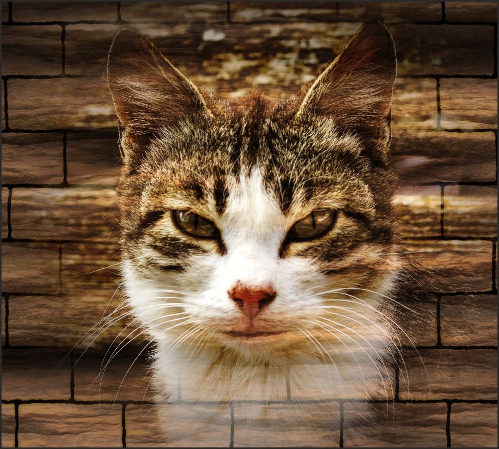 Tło do fotografii produktowej kulinarnej Flat Lay