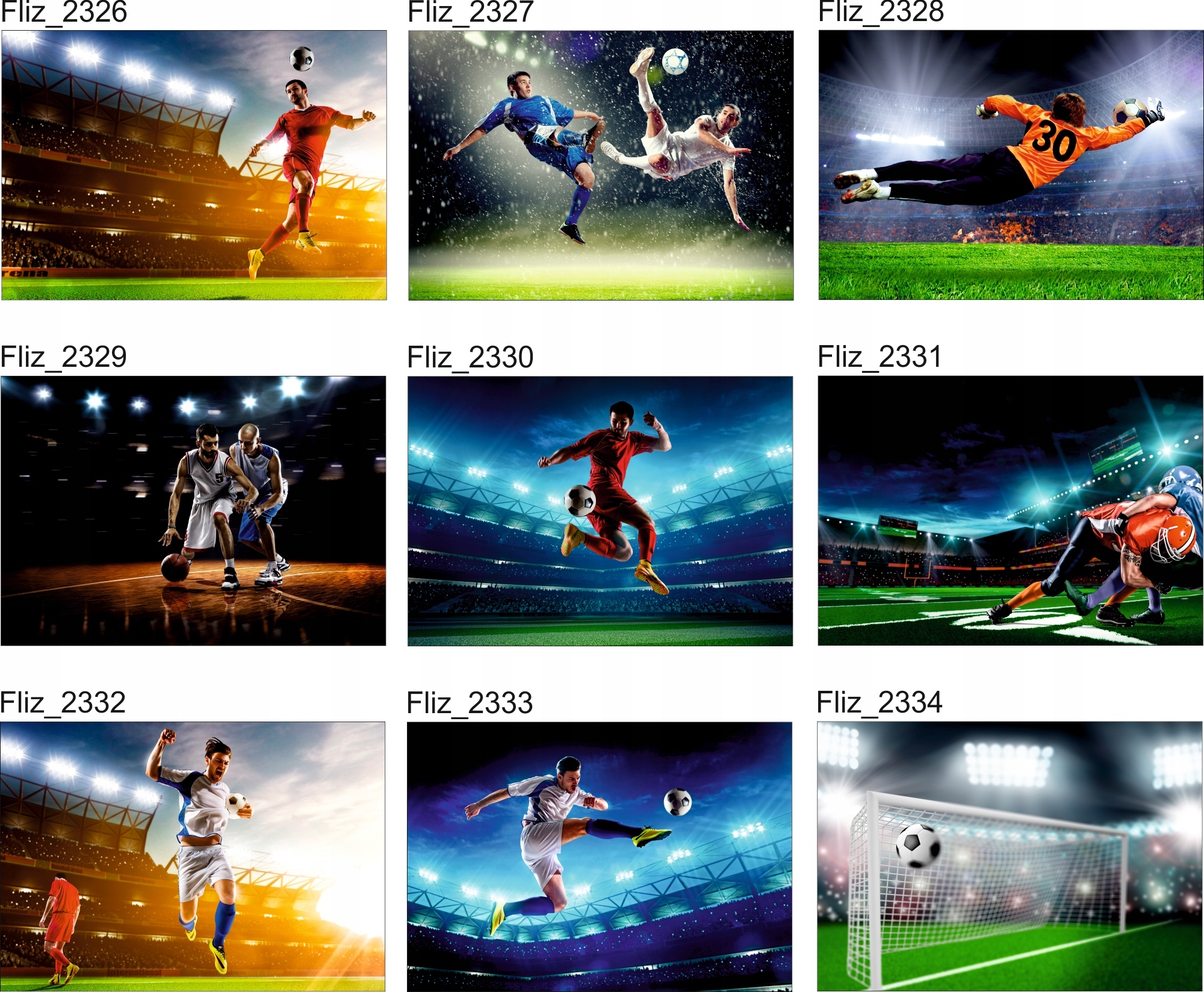 FOTOTAPETA DO POKOJU RING BOKS WALKA 380x256