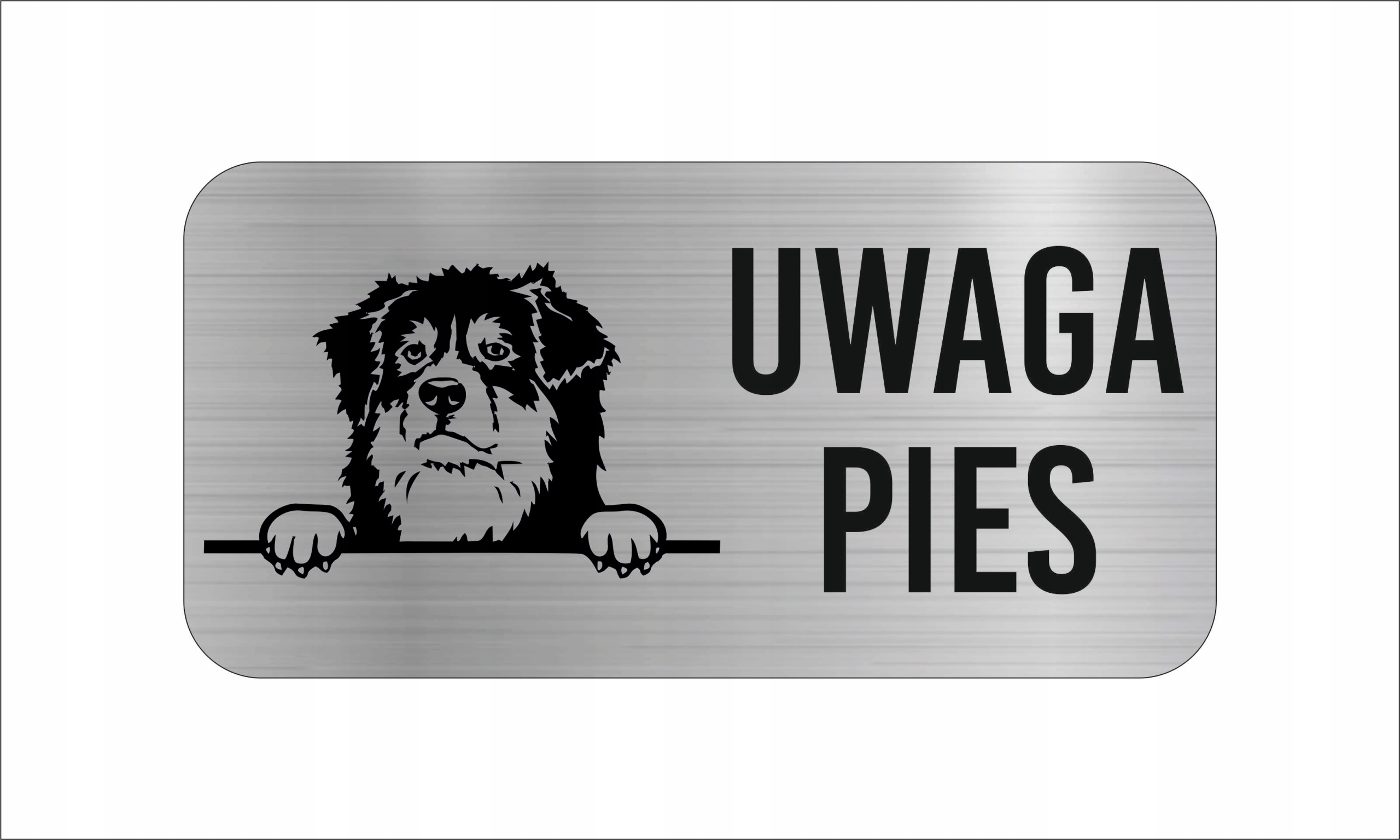 GRAWER Tabliczka nierdzewna 20x10 UWAGA PIES Owczarek australijski